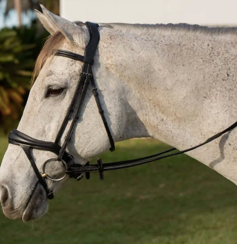 Horze SAMPLE Bridles