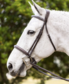 Horze SAMPLE Bridles