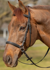 Horze SAMPLE Bridles