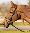 Horze SAMPLE Bridles