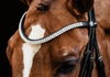 Schockemohle Valencia Bridle