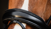 Schockemohle Valencia Bridle