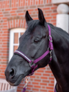 Horze SAMPLE Halter + Lead Sets