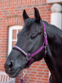 Horze SAMPLE Halter + Lead Sets