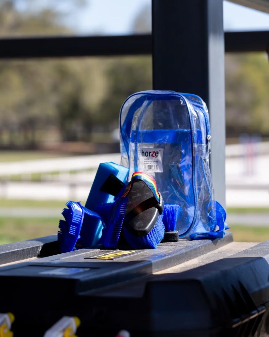 Clear backpack with blue straps on a table outdoors with grooming tools