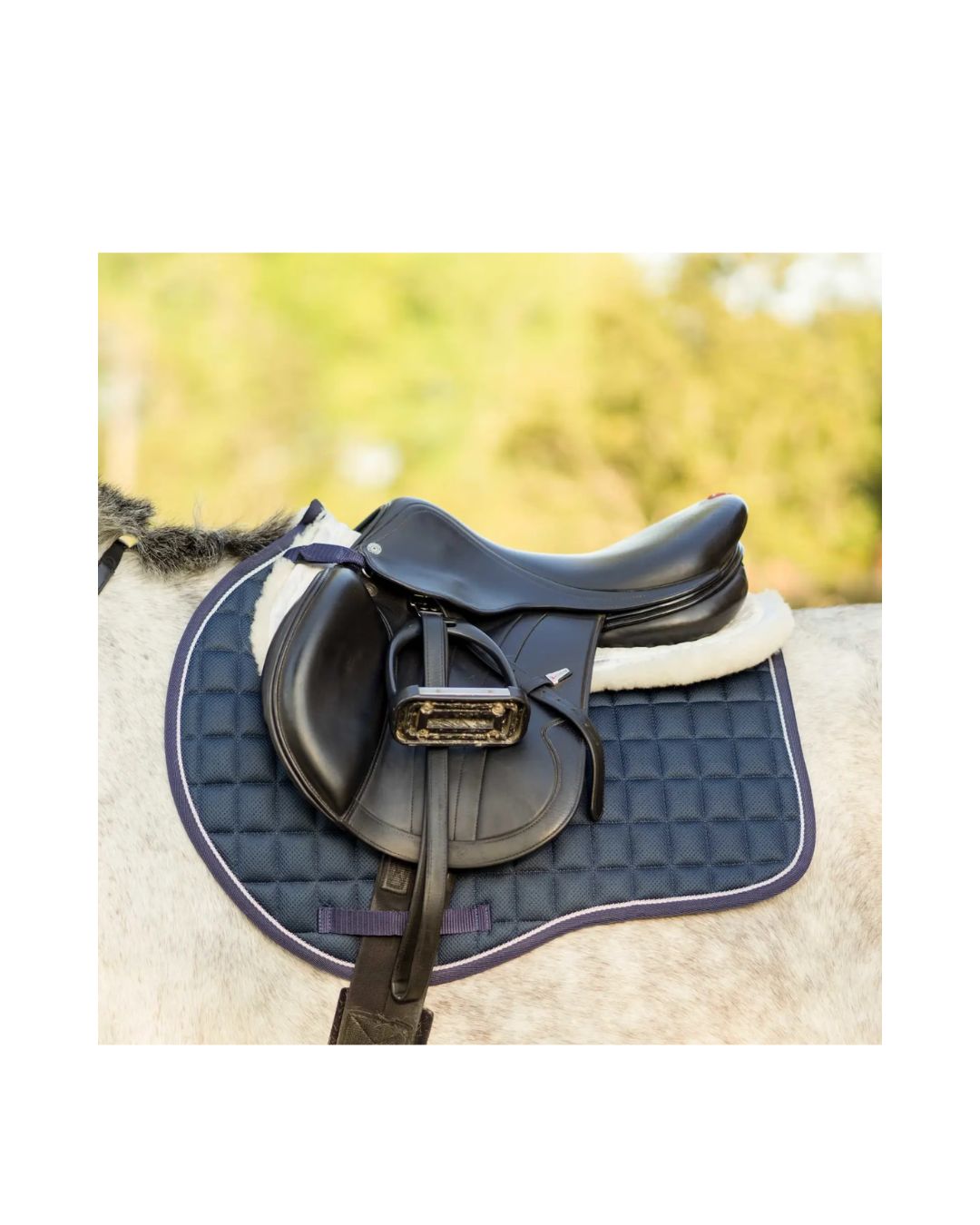 Saddle on a horse with a blue Equinavia saddle pad