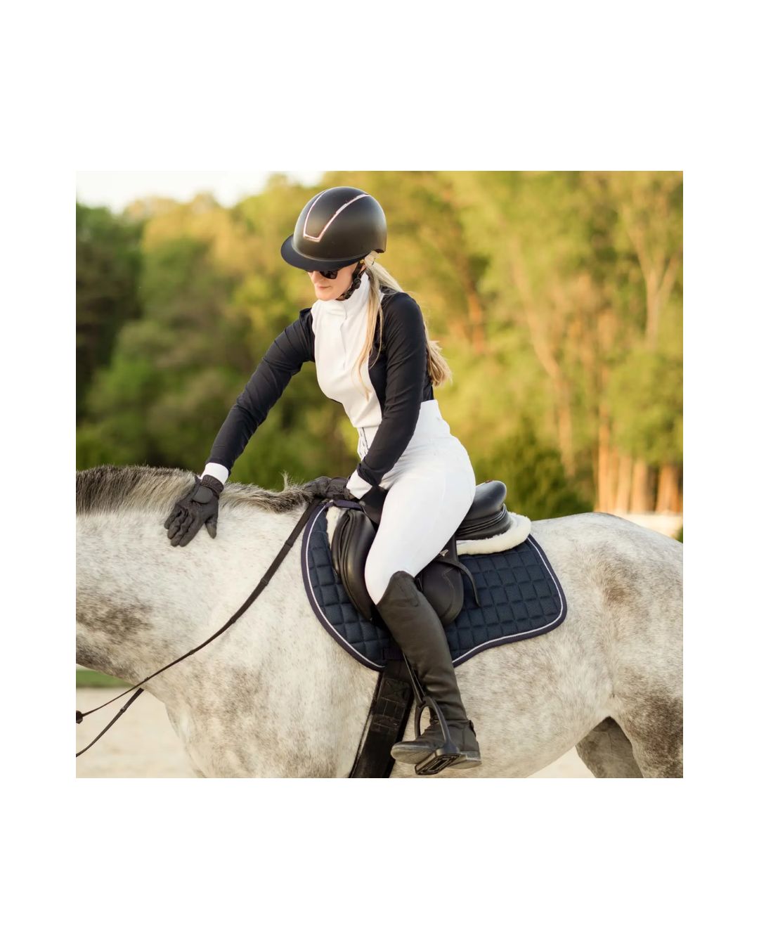 Person riding a horse with a blue equinavia saddle pad