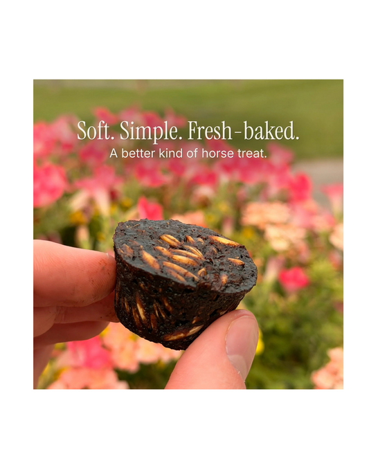 Avella Soft Baked Horse Treats Horse Treats Avella - Equestrian Fashion Outfitters