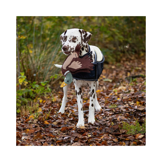 Horse/Dog Toy Toys QHP - Equestrian Fashion Outfitters