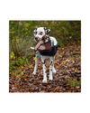 Horse/Dog Toy Toys QHP - Equestrian Fashion Outfitters
