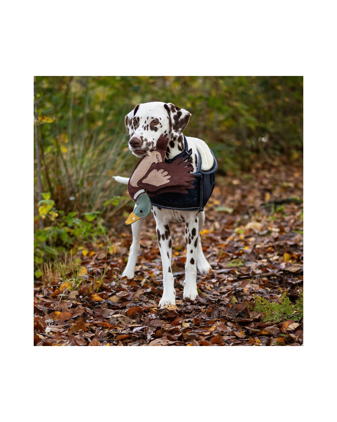 Horse/Dog Toy Toys QHP - Equestrian Fashion Outfitters