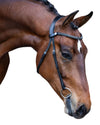 Lumiere nosebandless black bridle on a horse with a white background