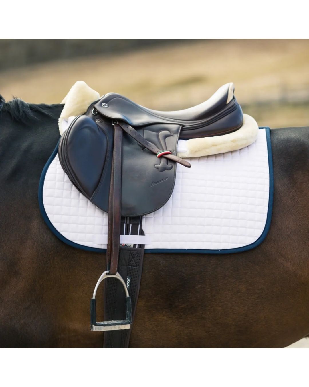 Horze Quilted Half Pad with Faux Fur Trim Saddle Pad Horze Equestrian - Equestrian Fashion Outfitters