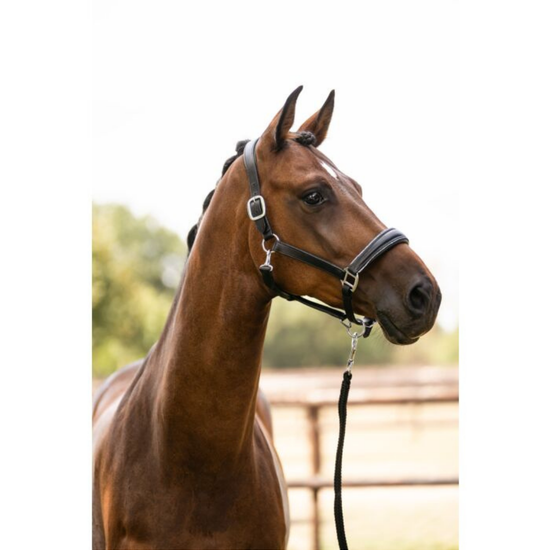 HKM Leather Glamour Halter Horse Halters HKM - Equestrian Fashion Outfitters