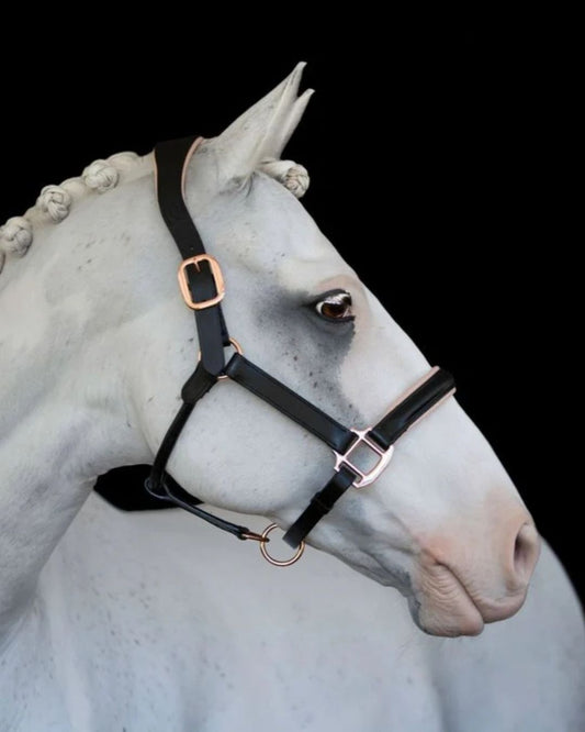 Lumiere Hollywood Leather Halter