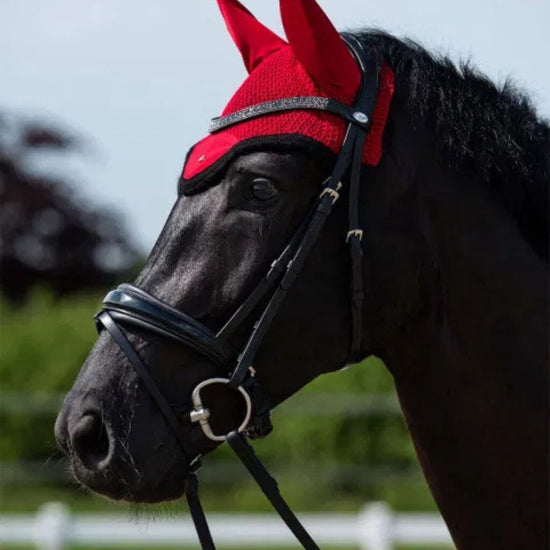 QHP Oakleigh Fly Veil Fly Veil QHP - Equestrian Fashion Outfitters