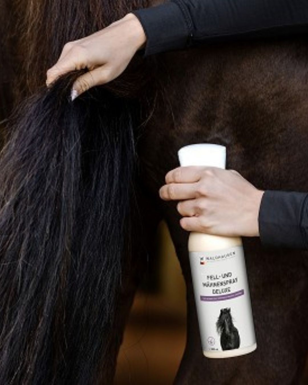 Person applying a horse care product to a horse's coat