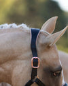 Lumiere Hollywood Leather Halter