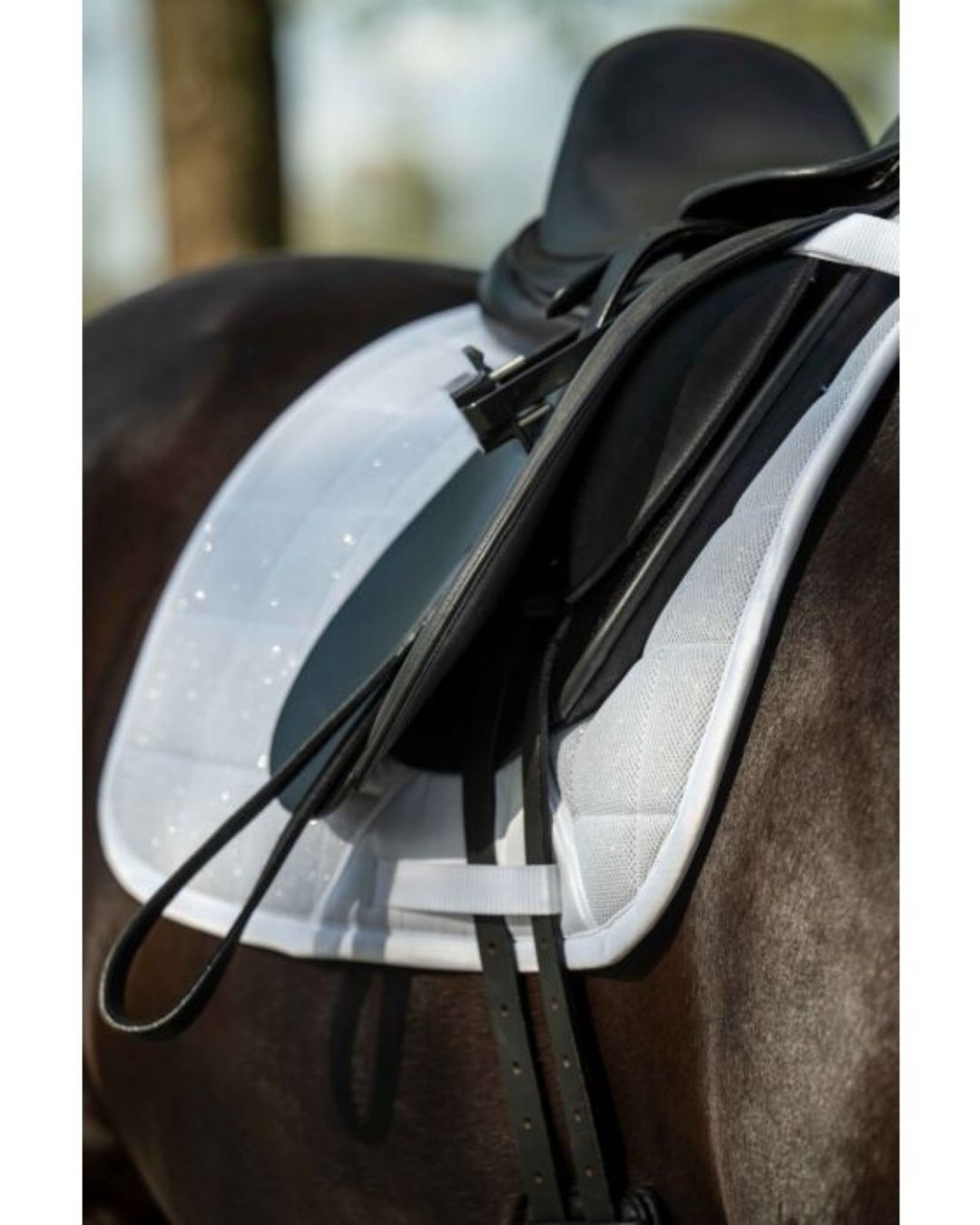 black saddle with HKM Glitter mesh quilted white saddle pad on a horse