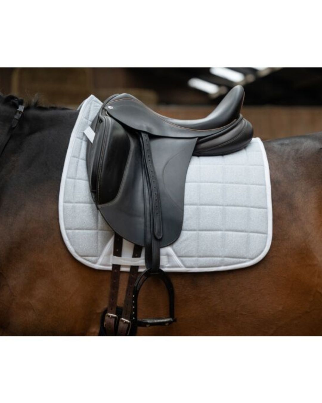 black saddle with HKM Glitter mesh quilted white saddle pad on a horse