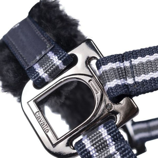 Close-up of a blue and gray buckle on a horse halter with Cavallo buckle on a white background