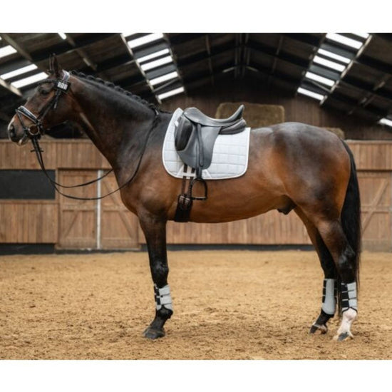 Horse with an HKM Glitter dressage saddle pad and black saddle in an indoor arena