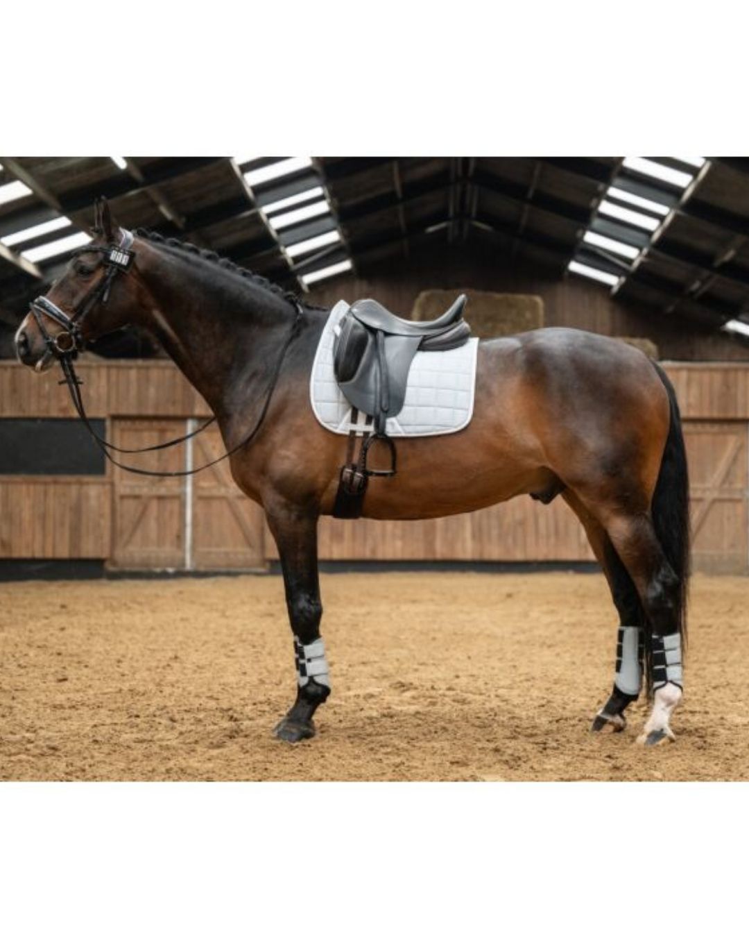 Horse with an HKM Glitter dressage saddle pad and black saddle in an indoor arena