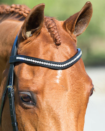 WHS Browband