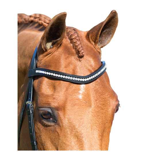 WHS Browband browband Equestrian Fashion Outfitters - Equestrian Fashion Outfitters