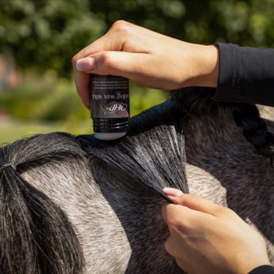 stick with white braiding was qhp with horses mane equestrian fashion outfitters