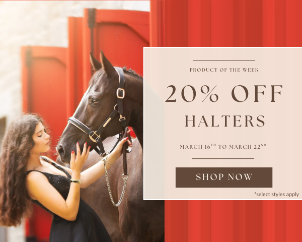 Equestrian Fashion Outfitters