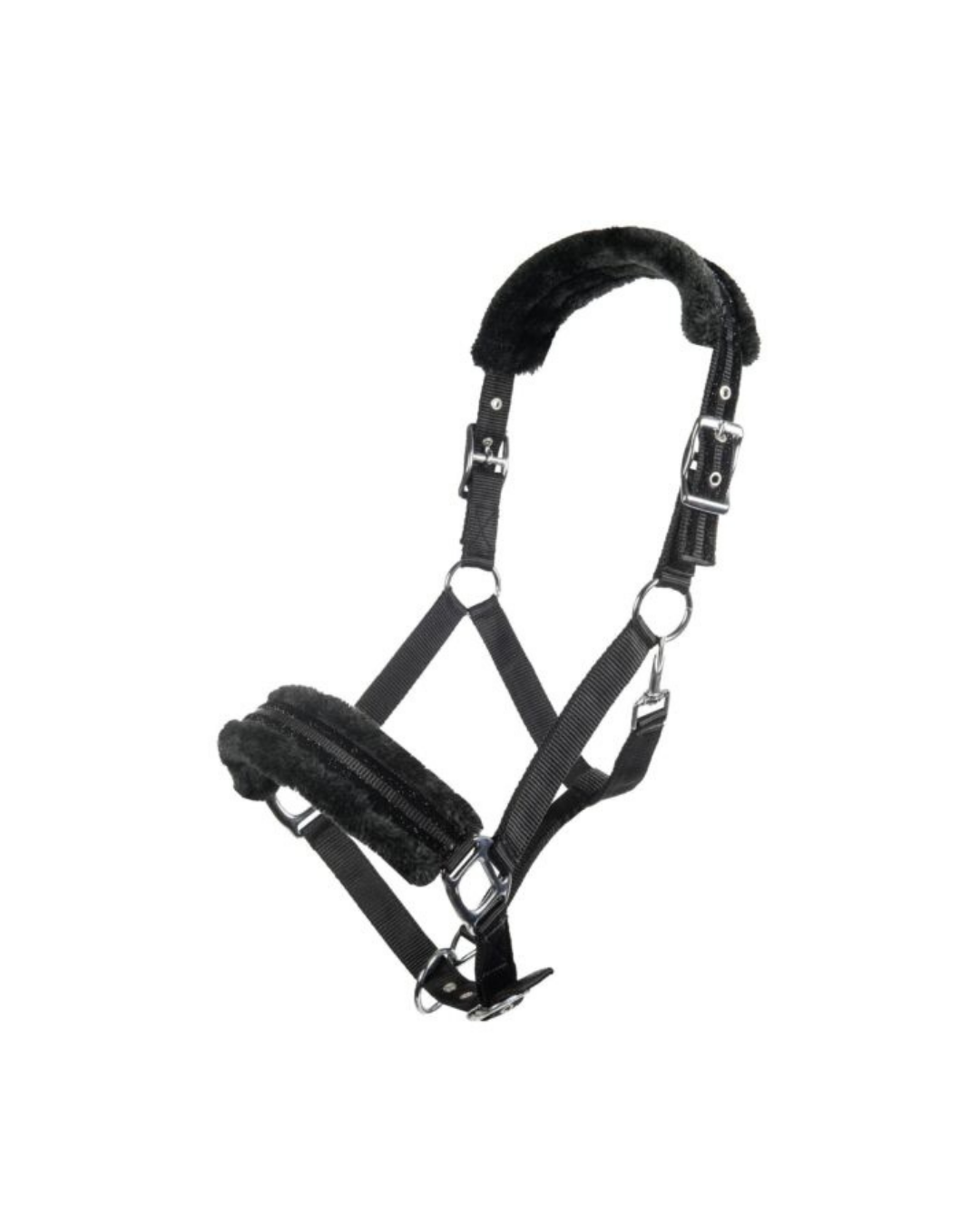 Tack & Equipment