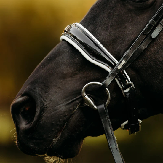 Close-up of a dark horse wearing a black leather bridle with patent and white trim and silver metal rings, set against a blurred golden-brown background equestrian fashion outfitters
