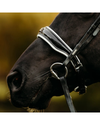 Close-up of a dark horse wearing a black leather bridle with patent and white trim and silver metal rings, set against a blurred golden-brown background equestrian fashion outfitters