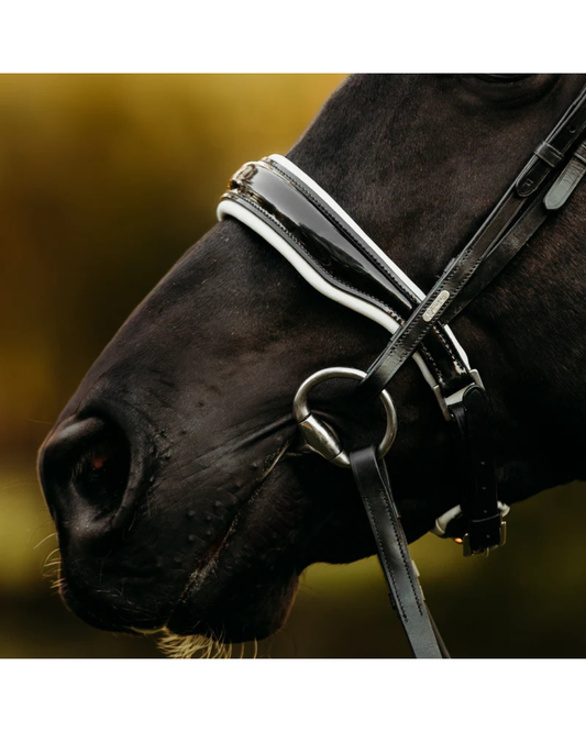 Close-up of a dark horse wearing a black leather bridle with patent and white trim and silver metal rings, set against a blurred golden-brown background equestrian fashion outfitters