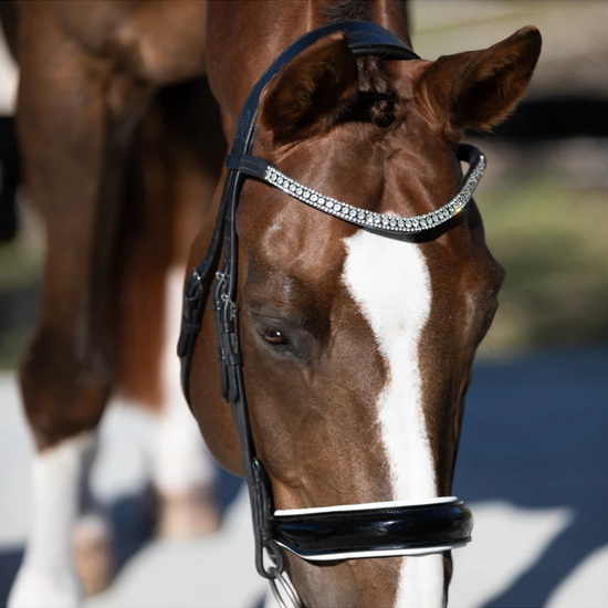 A close-up of a brown horse wearing a black leather bridle with a silver rhinestone-embellished browband and a black noseband. with white padding equestrian fashion outfitters