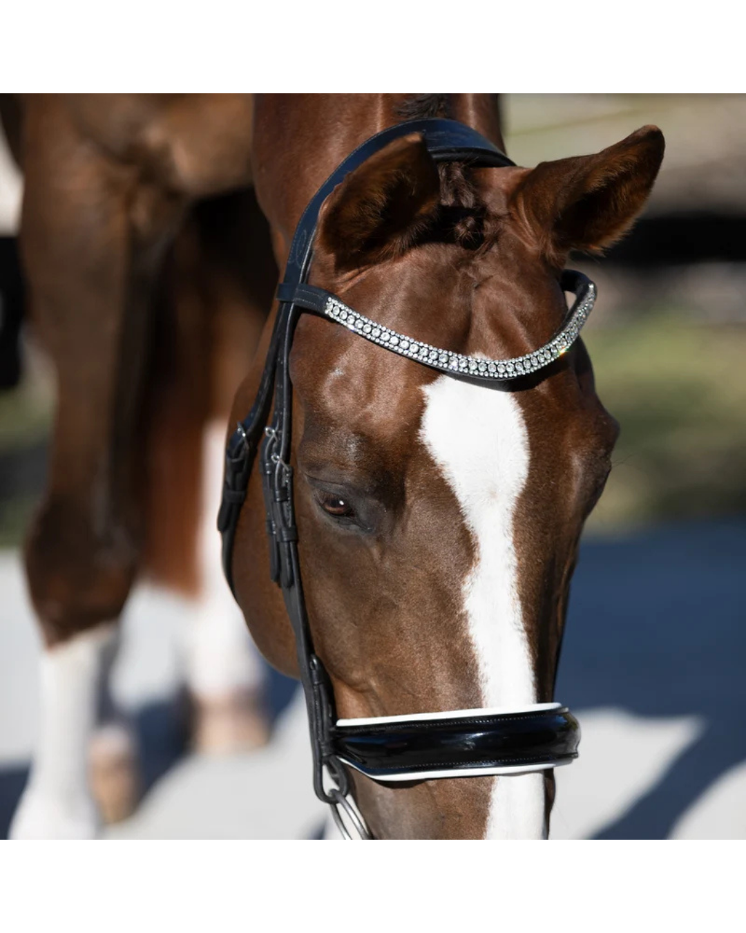 A close-up of a brown horse wearing a black leather bridle with a silver rhinestone-embellished browband and a black noseband. with white padding equestrian fashion outfitters