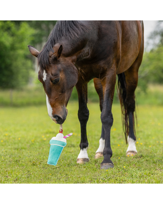 Horse/Dog Toy