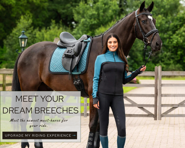 discount equestrian apparel