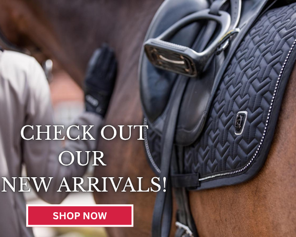 Equestrian Fashion Outfitters