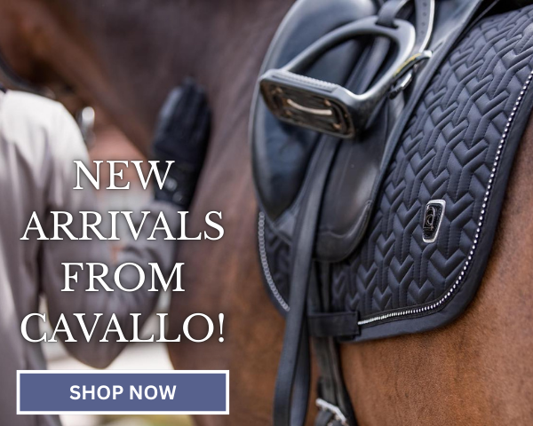 Equestrian Fashion Outfitters