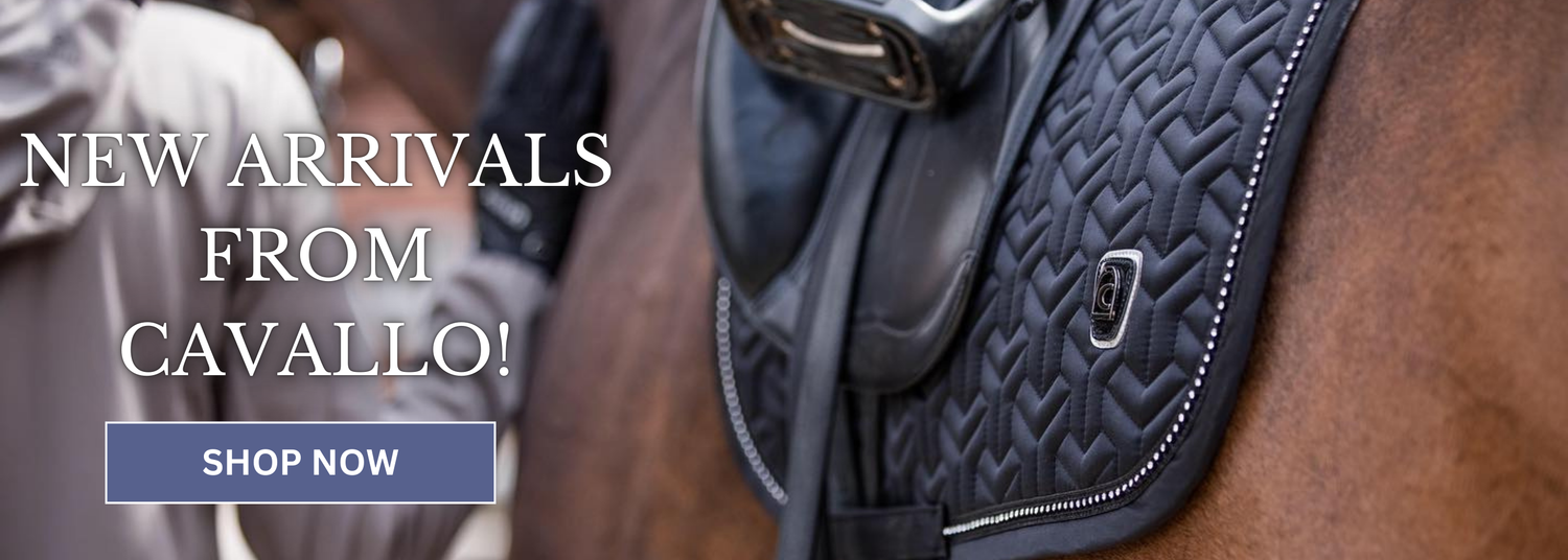 Equestrian Fashion Outfitters