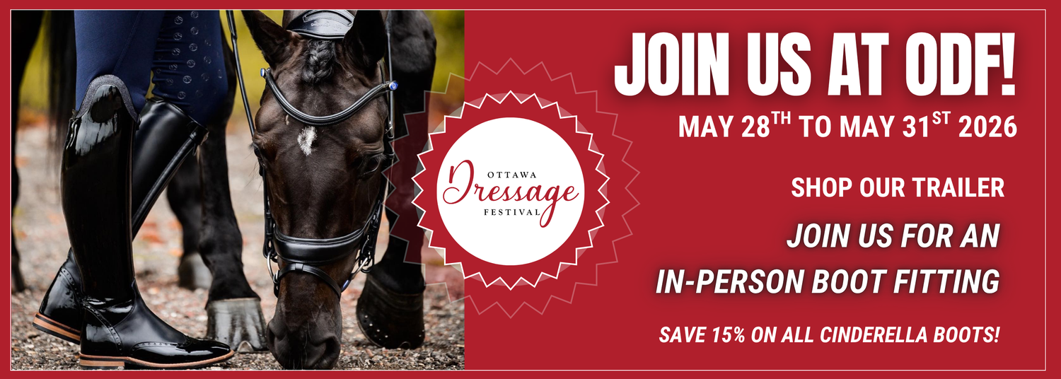 Equestrian Fashion Outfitters