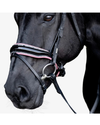 Lumiere Paloma Bridle