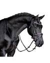 Lumiere Paloma Bridle