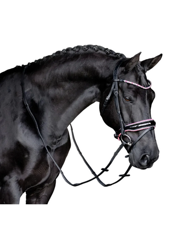 Lumiere Paloma Bridle
