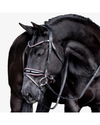 Lumiere Paloma Bridle