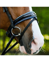 Lumiere Paris Bridle