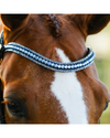Lumiere Paris Bridle