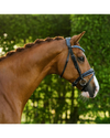 Lumiere Paris Bridle